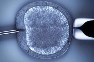 A diferença entre inseminação artificial e fertilização assistida