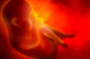 Exames PGD e PGS podem evitar abortos espontâneos ou alterações cromossômicas em embriões