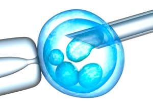 Medidas para analisar o sucesso de um tratamento de fertilização in vitro