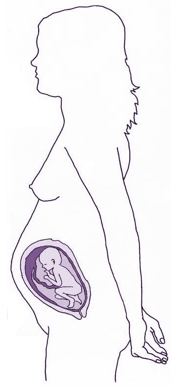 30ª Semana - gravidez passo a passo
