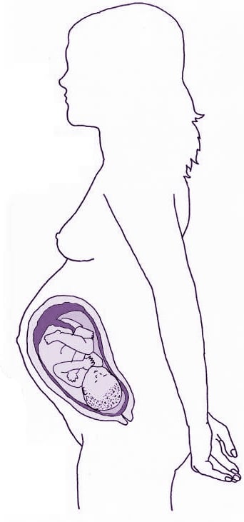 38ª Semana - gravidez passo a passo