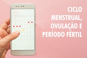 Ciclo menstrual, ovulação e período fértil